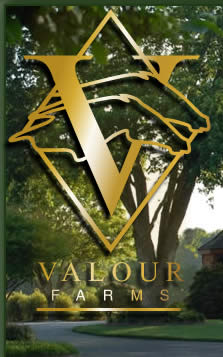 Valour Farms Logo