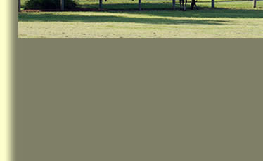 Contact Valour Farms middle left
