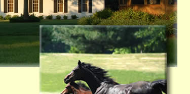 Valour Farms main office photo middle right.
