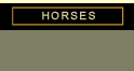 Valour Farms Horses