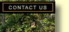 Contact Valour Farms